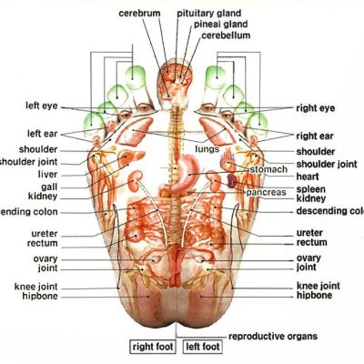 Foot zone picture